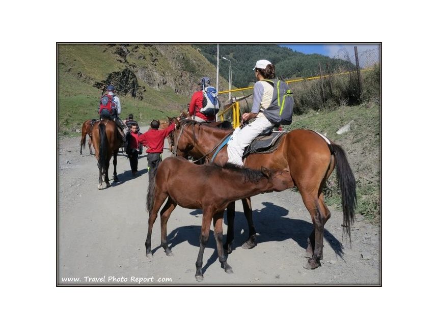 Gveleti Waterfall - Horseriding Tour