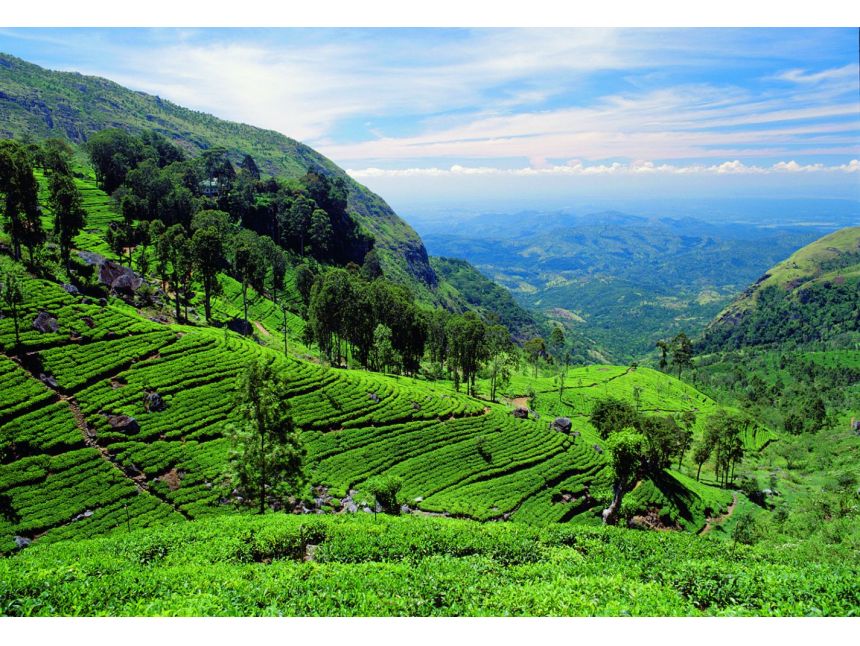 Magical Sri Lanka