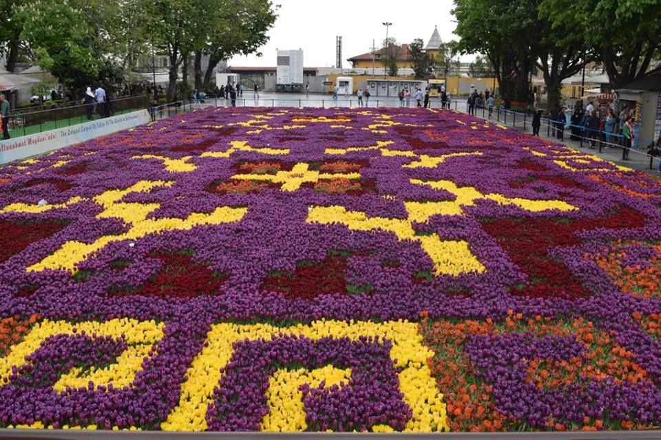 Tulip festival