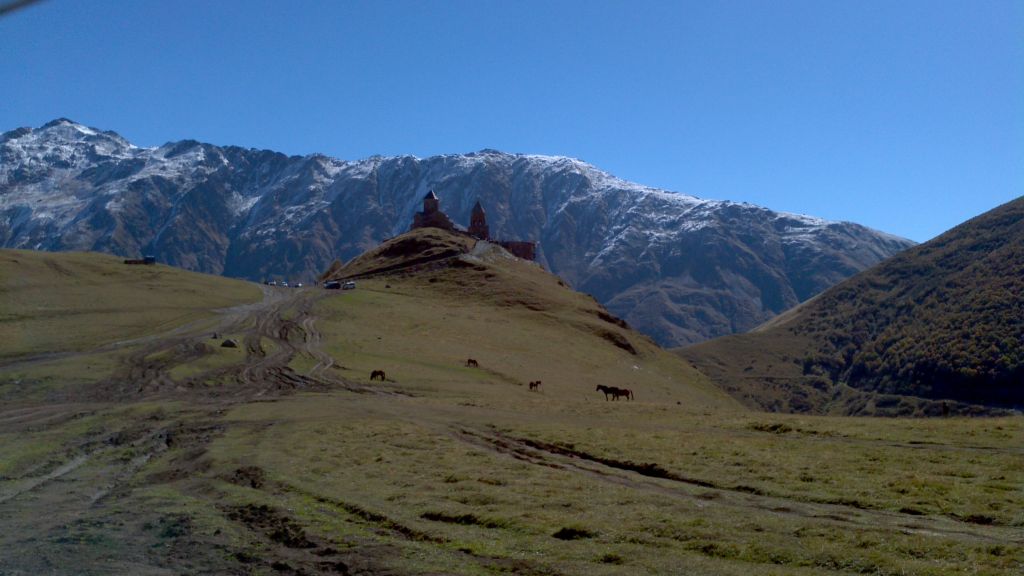 A Variety of Caucasus