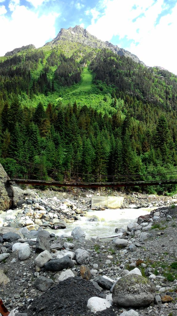 A Variety of Caucasus