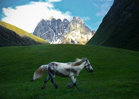 Mtskheta-Mtianeti (Kazbegi)