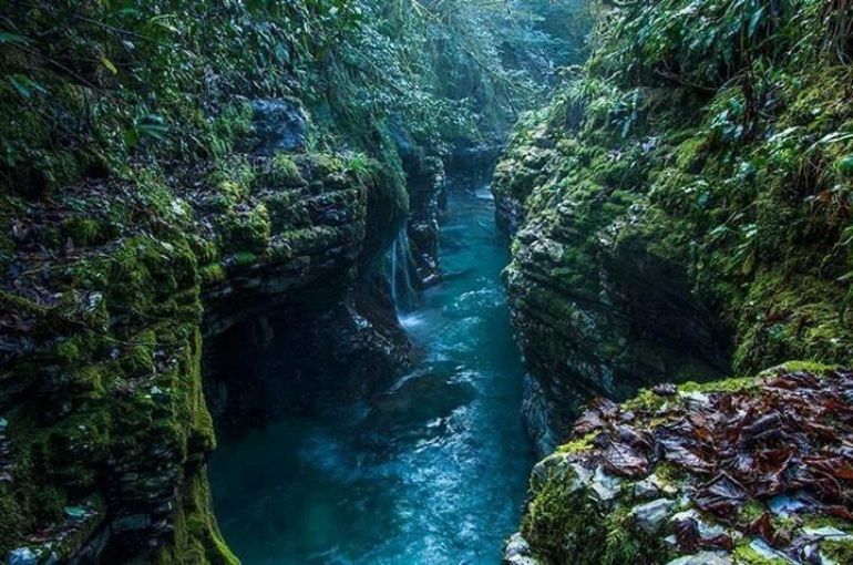  Tour Of The Canyon