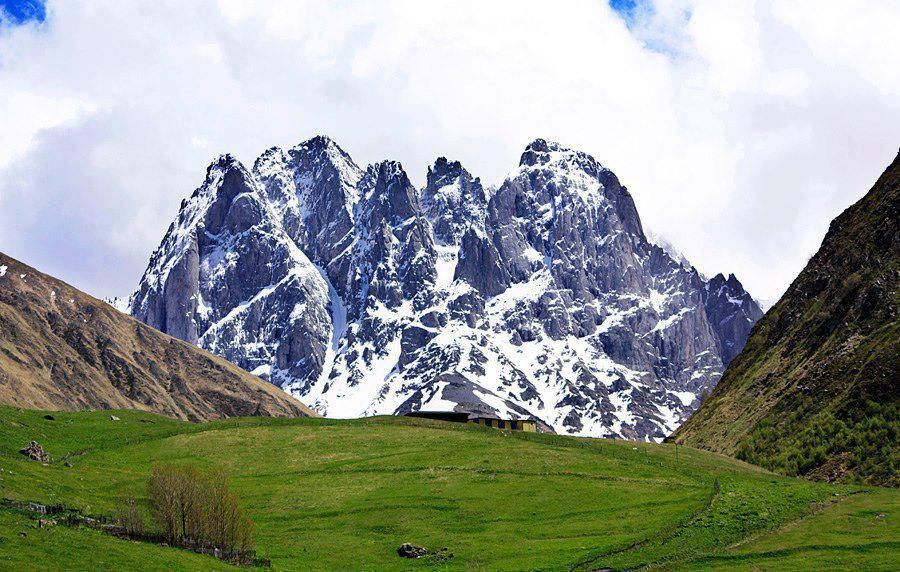 ჯუთა  აგვისტო  (კვებით)