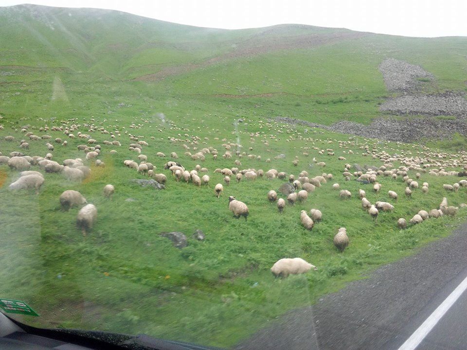 Private tours in Kazbegi