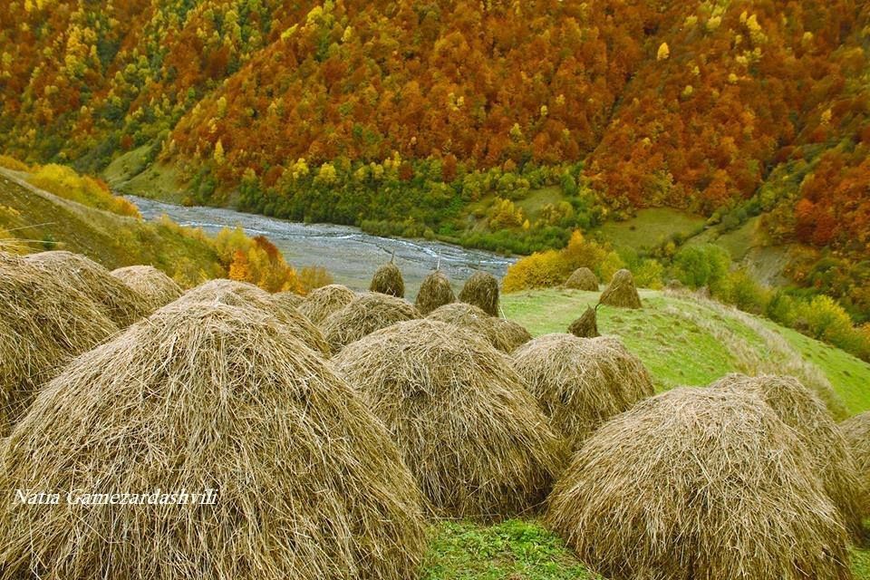 გუდამაყრის ფერთა ტური ! + ბურსაჭირის დიდებული ჩანჩქერი !