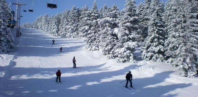 Borjomi-Bakuriani tour