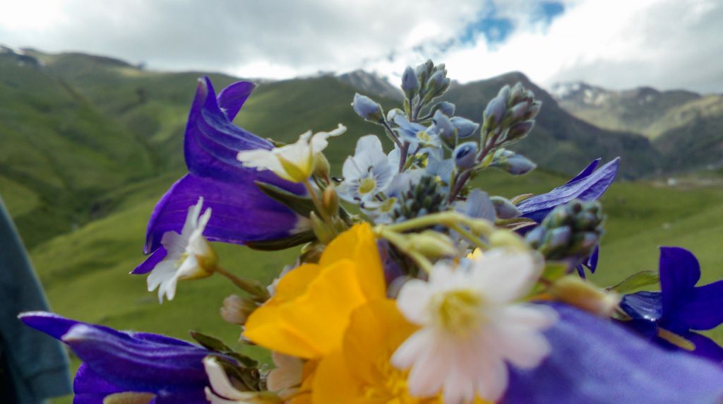 Before cooling in kazbegi