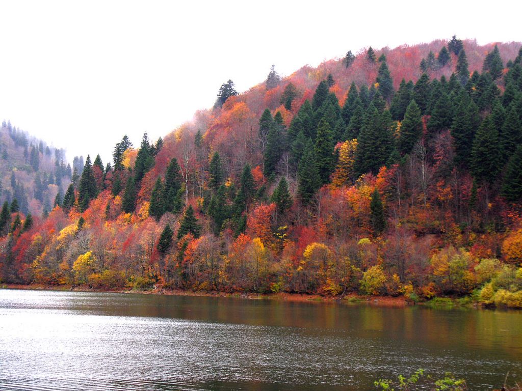 რაჭა