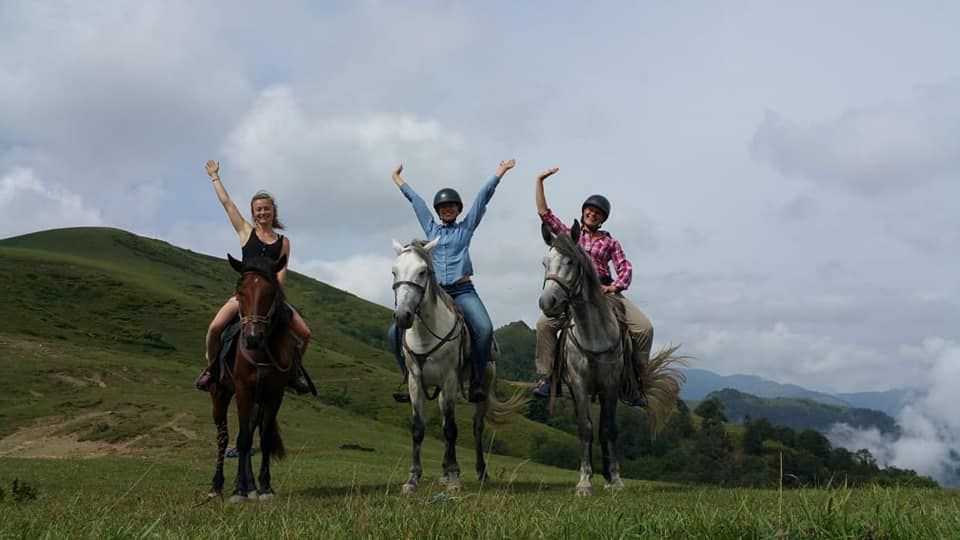 ბორჯომის საცხენოსნო ტურები- borjomi horse tours