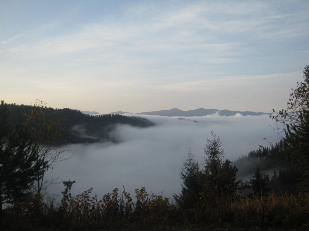 borjomi horse tours