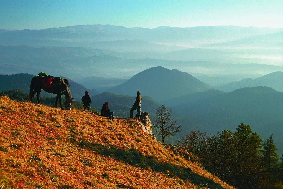 borjomi horse tours