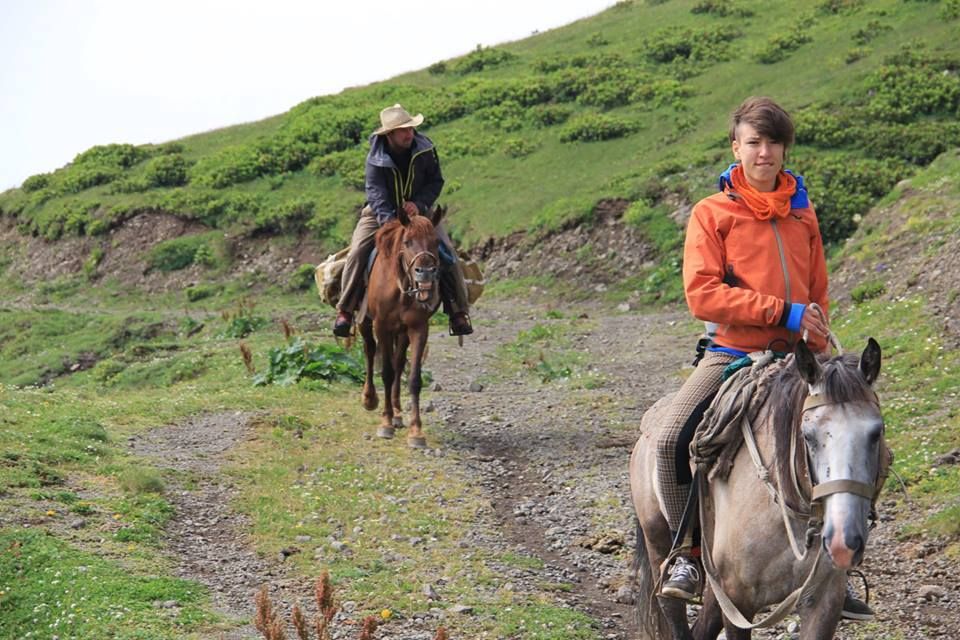 borjomi horse tours