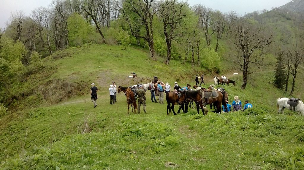 borjomi horse tours