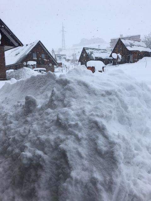 კვირას  დეკემბერს გუდაურის ერთ დღიანი ტური ..დარჩა  ადგილი