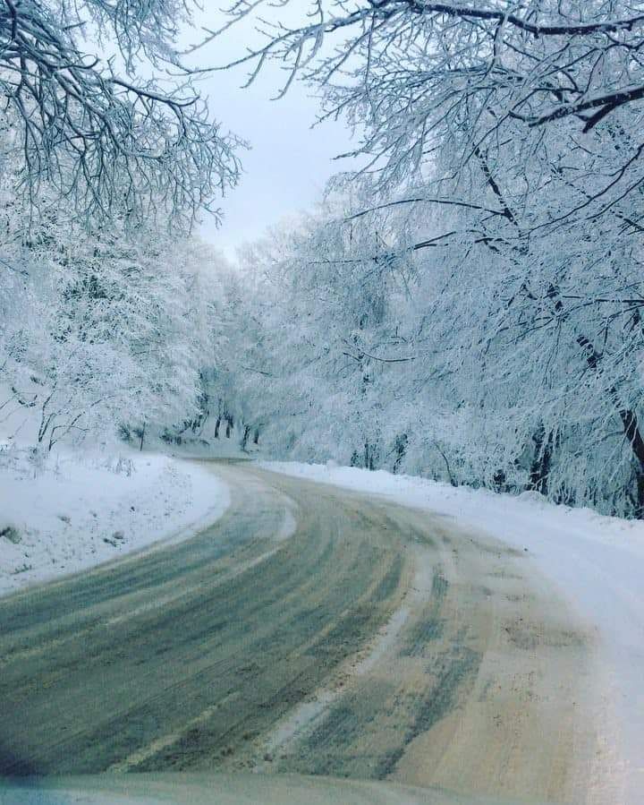 საბადურის ტყე  იანვარს