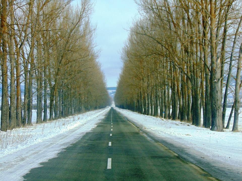 საბადური, ნადოკრა, სიონის წყალსაცავი და ა.შ.