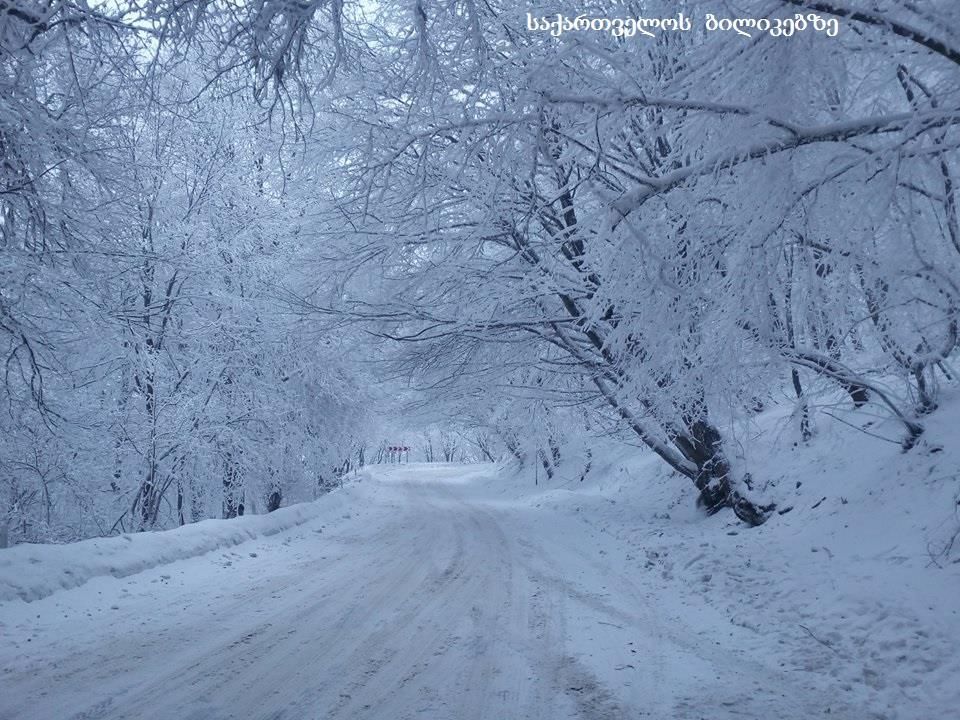 საბადური, ნადოკრა, სიონის წყალსაცავი და ა.შ.