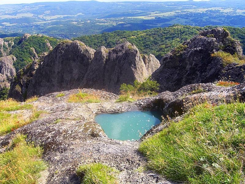 ბირთვისი