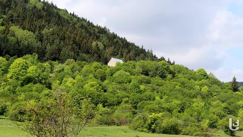 ბუზმარეთის მამათა მონასტერი. უდე