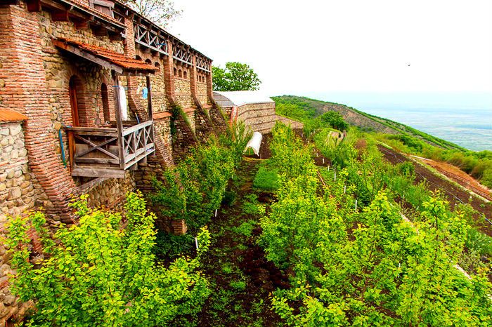 tour in Kakheti