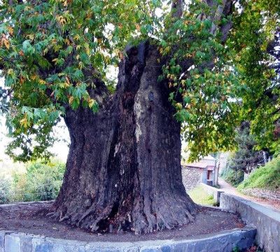 wine tour in Kakheti