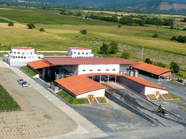 wine tour in Kakheti