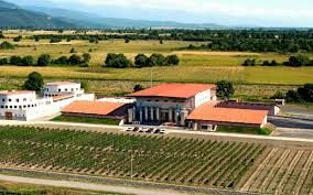 Wine tour in Kakheti