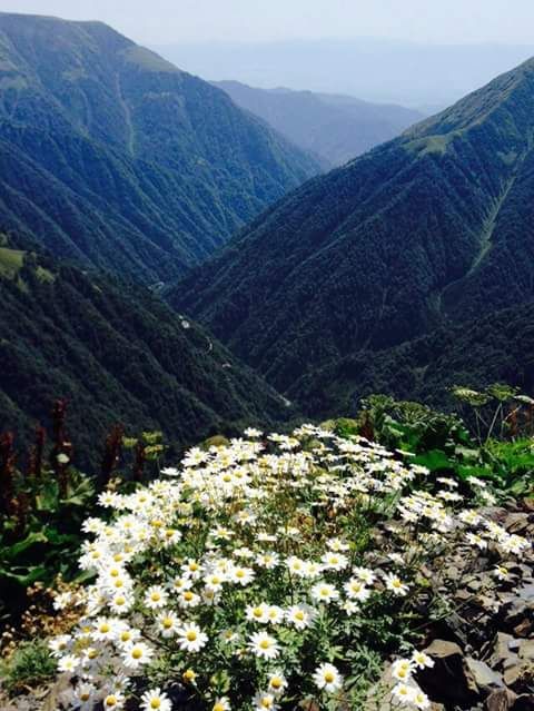 Tour in Tusheti –– August  day